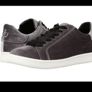 Sam Edelman Marlow Velvet Gray Sneakers